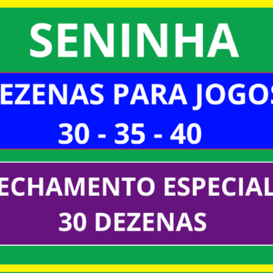 Planilha Seninha – 48 para Jogos de 30 – 35 – 40 Dezenas